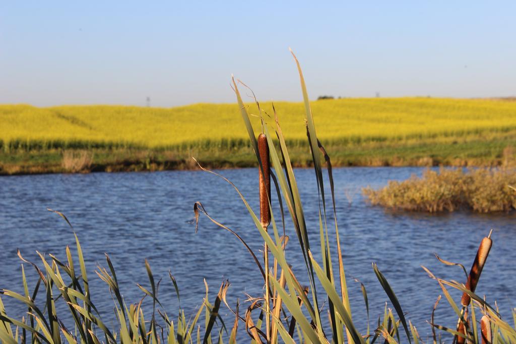 Вілла Agro Nad Stawem Жуково Екстер'єр фото